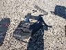 3GKALMEV5KL****** Wrecked 2019 GMC Terrain in Louisiana State