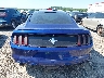 1FA6P8AM3F5****** Destrozados 2015 Ford Mustang