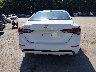 3N1AB8CV4PY****** Destrozados 2023 Nissan Sentra