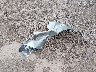 JF2SJABC4HH****** Wrecked 2017 Subaru Forester in New Jersey State