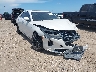 1G6DJ5RK6N0****** Salvamento y Destrozados 2022 Cadillac CT4 en Corpus Christi