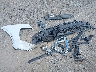 WA15AAFY0P2****** Wrecked 2023 Audi Q5 Sportback in New York State