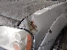 1N6ED27Y91C****** Salvamento y Reparables 2001 Nissan Frontier en Estado de Alaska