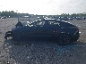 5YJ3E1EC8PF****** Wrecked 2023 Tesla Model 3 in Florida State