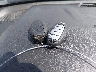 1N4BL4DV7RN****** Salvamento 2024 Nissan Altima en Estado de Nuevo México