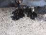 1C4PJMLN3KD****** Salvamento y Reparables 2019 Jeep Cherokee en Spokane