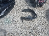 2HKRW2H9XLH****** Wrecked 2020 Honda CR-V in Ohio State