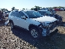 2T3W1RFV4LC****** Salvamento y Destrozados 2020 Toyota RAV4 en Culpeper