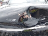 5XYK6CDF1TG****** Repairable 2026 Kia Sportage in Rochester