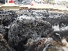 1GC2KXCG3BZ****** Salvamento 2011 Chevrolet Silverado 2500 en Cleveland