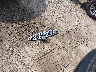 SAJWA43B285****** Wrecked 2008 Jaguar XK-Series in Kentucky State