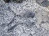 5TDAAAB50TS****** Wrecked 2026 Toyota Grand Highlander in West Virginia State