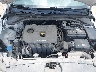 KMHD74LF7HU****** Repairable 2017 Hyundai Elantra in Corpus Christi