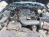 1ZVHT82H185****** Reparables 2008 Ford Mustang en Greenville