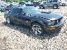 1ZVHT82H185****** Salvamento y Destrozados 2008 Ford Mustang en Greenville