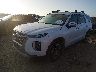 KM8R24HE4NU****** Used and Repairable 2022 Hyundai Palisade in Austin