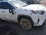2T3C1RFV7KW****** Salvamento y Reparables 2019 Toyota RAV4 en Estado de Mississippi