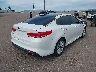 5XXGU4L33HG****** Salvamento y Destrozados 2017 Kia Optima en Estado de Colorado