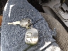 KNDJF724087****** Salvage 2008 Kia Sportage in South Carolina State