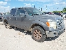 1FTEW1E87AF****** Salvamento y Destrozados 2010 Ford F-150 en San Antonio South