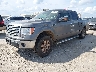 1FTEW1E87AF****** Usados y Reparables 2010 Ford F-150 en San Antonio South