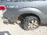 1FTEW1E87AF****** Salvamento y Reparables 2010 Ford F-150 en Estado de Texas