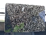 7SAYGDEE2NF****** Wrecked 2022 Tesla Model Y