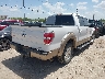 1FTFW1CF7DK****** Salvamento y Destrozados 2013 Ford F-150 en Estado de Texas
