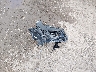 5UX23EM04T9****** Wrecked 2026 BMW X7 in New Jersey State