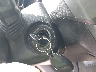 3GNAL2EK8ES****** Salvamento 2014 Chevrolet Captiva en Estado de Rhode Island
