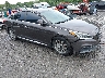 5NPE34AF8GH****** Salvage and Wrecked 2016 Hyundai Sonata in Pulaski