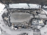19UUB2F52FA****** Repairable 2015 Acura TLX in Tampa