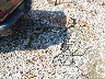 1FTFW1E5XJF****** Wrecked 2018 Ford F-150 in Ohio State