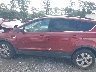 1FMCU0GXXEU****** Repairable 2014 Ford Escape in Georgia State