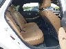 5NPEH4J26MH****** Destrozados 2021 Hyundai Sonata en Knoxville