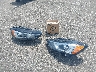 2FMPK4J98LB****** Destrozados 2020 Ford Edge en Estado de Minnesota