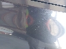 5UXKR0C59E0****** Salvamento y Reparables 2014 BMW X5 en Estado de California