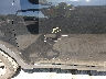 KNDPMCAC9H7****** Salvage and Repairable 2017 Kia Sportage in Connecticut State