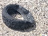 JTMDFREV4HJ****** Wrecked 2017 Toyota RAV4 in New York State