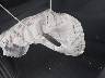 1N4BL4DW4SN****** Salvage 2025 Nissan Altima in New York State