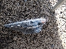 7MUDAABG4PV****** Wrecked 2023 Toyota Corolla Cross in Delaware State