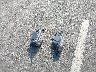 5XYRK4JF6SG****** Wrecked 2025 Kia Sorento in North Carolina State