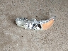 2GTEC19T041****** Wrecked 2004 GMC Sierra 1500 in South Dakota State
