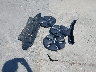 5YJ3E1EB2LF****** Salvamento 2020 Tesla Model 3 en Estado de Texas