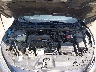 2HGFC2F8XKH****** Reparables 2019 Honda Civic en Grenada