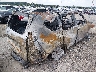 JTJAM7BXXP5****** Salvage and Wrecked 2023 Lexus GX in Oklahoma State