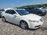19UUA66296A****** Salvamento y Destrozados 2006 Acura TL en Atlanta South