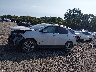 2GNAXXEV8K6****** Usados 2019 Chevrolet Equinox en Estado de Tennessee