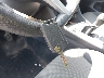 3VWN57BU3KM****** Salvage 2019 Volkswagen Jetta in Pennsylvania State