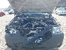 1FMYU93146K****** Repairable 2006 Ford Escape in Indianapolis South